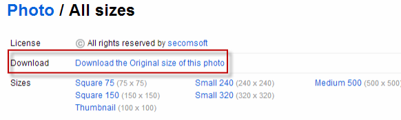 Screenshot of Flickr UI to download original image